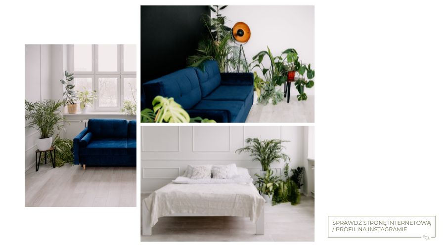 Gdzie sesja zdjęciowa Karolina Marek Fotograf Śląsk