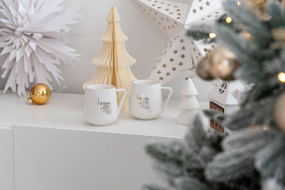 wizerunkowa sesja świąteczna